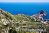 I 7 panorami più belli da fotografare a Ischia 2