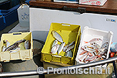 I pescatori di Ischia Ponte 7