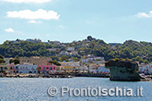 Il giro dell'isola d'Ischia via mare 14