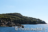 Il giro dell'isola d'Ischia via mare 27