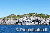 Il giro dell'isola d'Ischia via mare 32