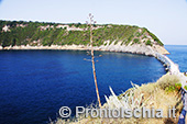 Ischia, Procida e Capri 2