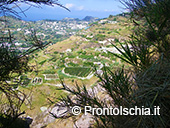 Il fascino nascosto di Ischia 3