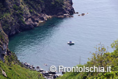 Gli itinerari geo-ambientali dell'isola d'Ischia 9