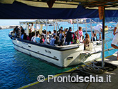 Capri, l'isola Azzurra 5