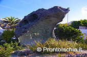 Le pietre dell'isola d'Ischia 0